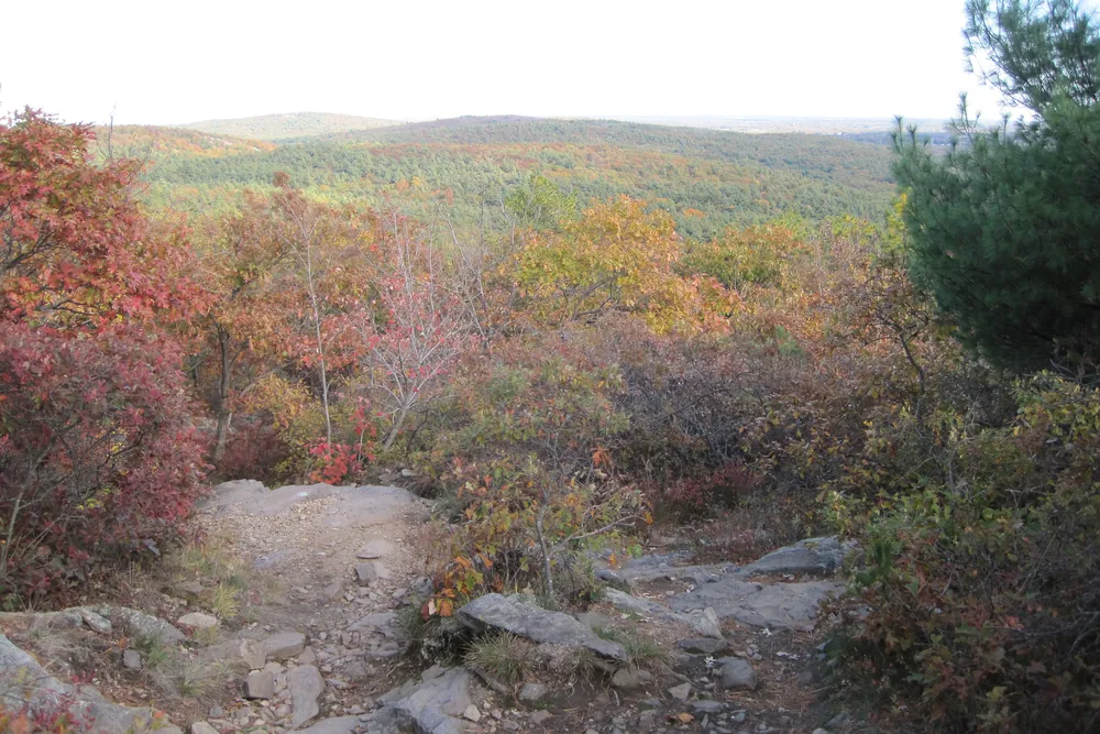 Autumn foliage and rocky trail in the Blue Hills Reservation in Milton, with wooded ridges in the distance